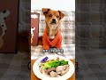 Unveiling the Culprit Behind the Food Show's Failure