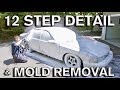 12 Step Detail: Mold Removal and Plasti-Dip Repair for Used Car Sale: Impala SS