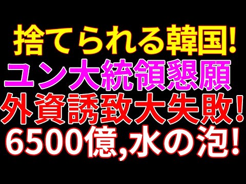 米国テスラ車、韓国ユン大統領の懇願をスルー！6500億プロジェクト水疱に期す！