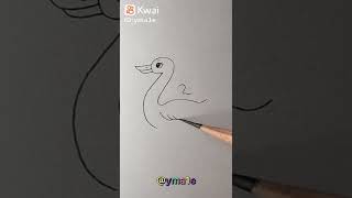 تعليم رسم البطه للمبتدئين