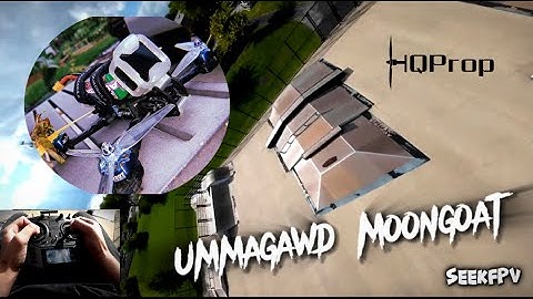 Ummagawd Moongoat - Skatepark | FPV Freestyle