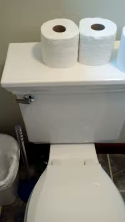 RF (NY Trip 2016/VS): 2008?-2009? Kohler Memoris Ingenium Toilet