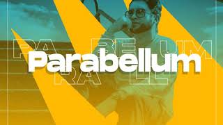 parabellum Alan Flow feat dj sergiofiguras