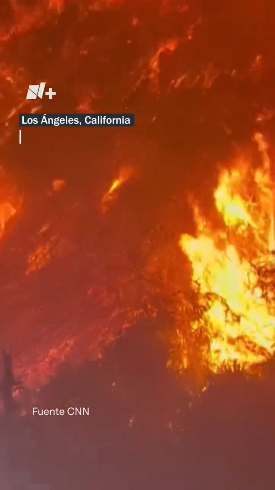¿Qué sabemos sobre los incendios en California? - N+ #Shorts