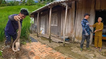 Giúp Bà, bắt được con rắn lột da ở sau nhà | TGSB #651