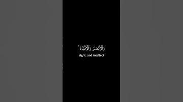سورة النحل اية ٧٨ - القارئ ياسر الدوسري - خلفية سوداء