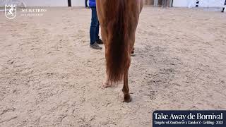 Take Away de Bornival Z