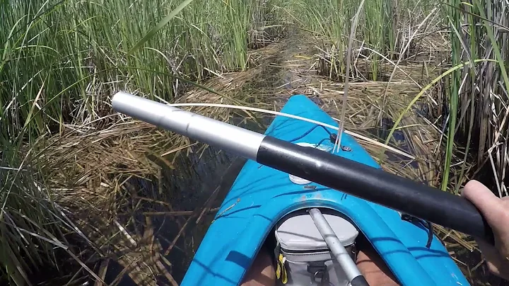 KAYAK PIPELINE COVE