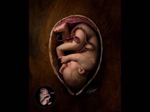 Βίντεο: Το μωρό κοιμάται στη μήτρα όταν κοιμάται η μητέρα;