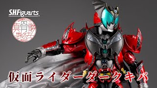 [ 怒爆紅音也 ] S.H.Figuarts 真骨彫製法 仮面ライダー DARK KIVA REVIEW ᕦ(ò_óˇ)ᕤ