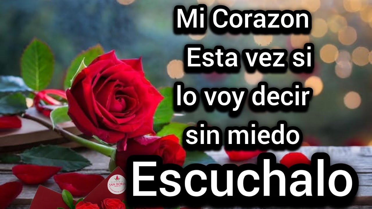 Mi Corazon  Esta vez si lo voy decir sin miedo es algo que tenia que hacer hace mucho por favor Abre