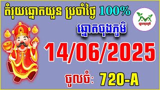 តំរុយឆ្នោតយួន VIP - 14/06/2025 ឆ្នោតចុងភូមិ៣