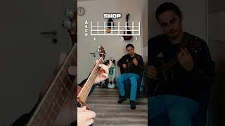 Undertale SHOP Ukulele Tutorial