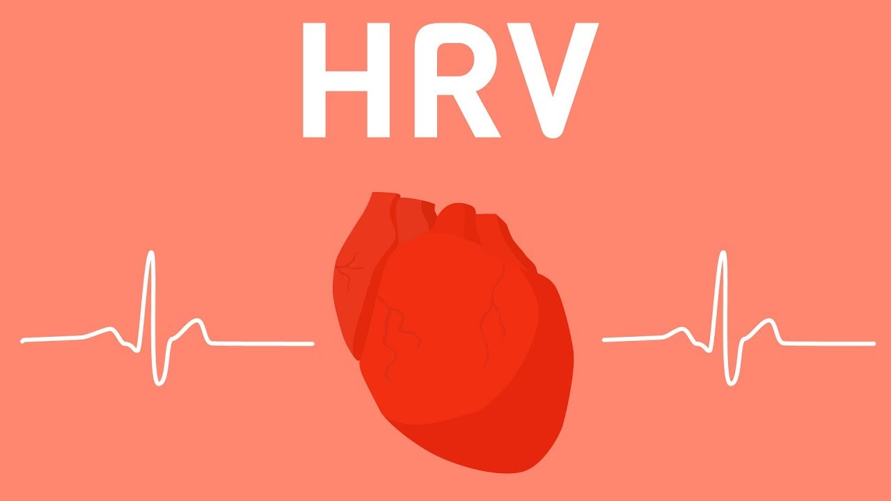 Heart Rate Variability: Track din træningsparathed med HRV 💗
