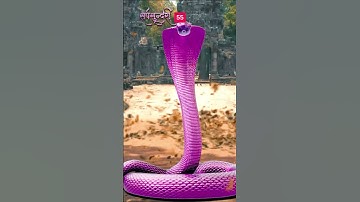 sarpsundari #nagini #nagin #nagin7