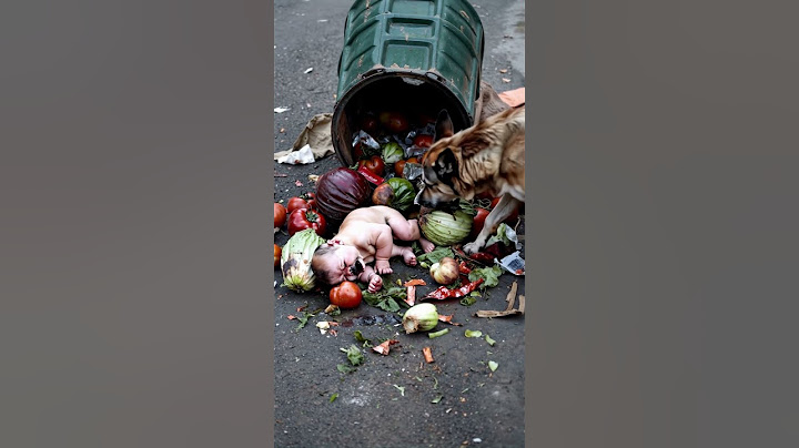 Incredible Dog Rescues Baby from Trash – Unbelievable Act of Kindness! #BabySaved #RescueDog