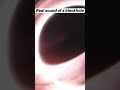 You Can Actually Hear a Black Hole #space #cosmolog #universe #cosmicexploration #blackhole #space