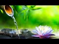 Relaxing Music 24/7, Spa Music, Meditation Music, Healing Music, Sleep Music, Spa, Study, Calm Music