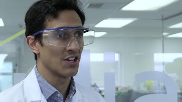 Nerudia - Inside the Analytical Lab