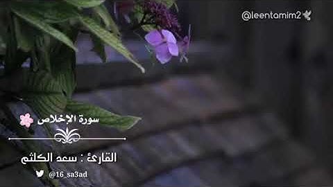 سوره الاخلاص سعد الكلثم