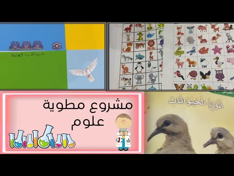 مشروع علوم الصف الاول ابتدائي مطوية علوم انواع الحيوانات