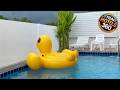 Pool Villa Sattahip White House | Pattaya, Thailand | Hotel Review 🌟