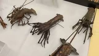 Articulated Critters At The Japanese Sword Show Myochin Sch