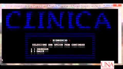 PROYECTO FINAL PROGRAMACION I