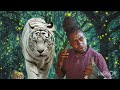 NGOBHO MSENTA Prd By Mbsha Studio 2025 Mp3 NGOBHO MSENTA Prd By Mbsha Studio 2025 Mp3