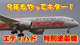 【11/25まで】Phoenix エティハド航空B787-10 特別塗装機 mqdefault.jpg