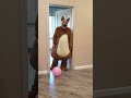 Tanya brings funny dogs a balloon, Marble Truck