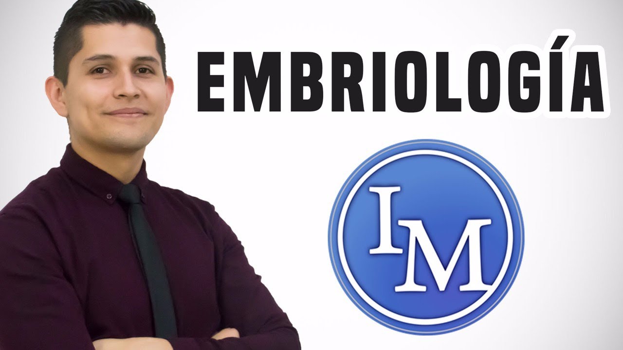 Embriología | Cara, Lengua y Paladar