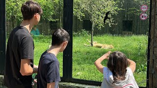 Vizită la Grădina Zoologică din București by Awake, alive, blessed, grateful 112 views 1 year ago 13 minutes, 50 seconds