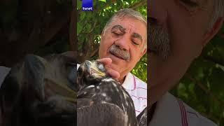 Bahçesine Konan Kaya Kartalıyla Dost Oldu