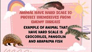 Aina Nazril | Digital Book of Animal | Science Year 5 | Sk Sri Bintang Selatan 2025