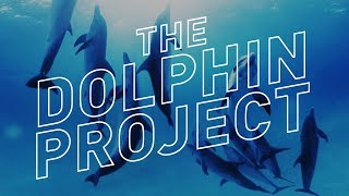 The Dolphin Project