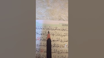‏سورة البقرة (٢٣٣) _ (٢٣٤) ‏الصفحة (٣٨) ‏الحفظ القرآن الكريم