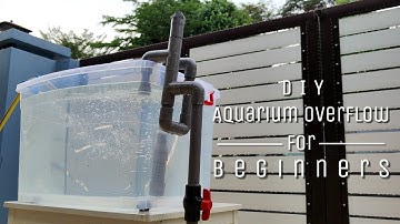 DIY Aquarium Overflow Design for Beginners [Tutorial]