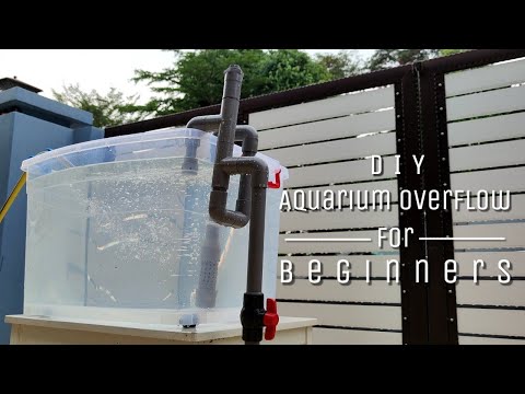 DIY Aquarium Overflow Design for Beginners [Tutorial]