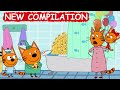 Kidecats  new episodes compilation  best cartoons for kids 2023