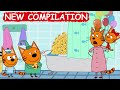 Kid-E-Cats | NEW Episodes Compilation | Best cartoons for Kids 2023