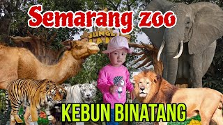 kebun binatang Semarang terbaru Semarang zoo#semarangzoo#kebunbinatang