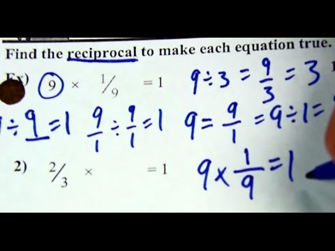 Reciprocals