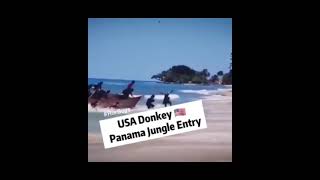 Usa Donkey Vedio Police Chasingby Panama Jungle Subscribe For More More Vedio