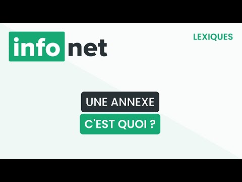 Vidéo: Est-ce que des annexes ou des annexes ?