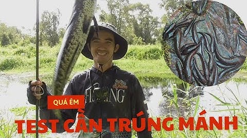 Câu cá lóc U Minh Thượng, trúng mánh con kênh này đóng cá bay bay || VR Fishing