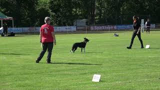 Miff Deutsche Obedience Meisterschaft 2021