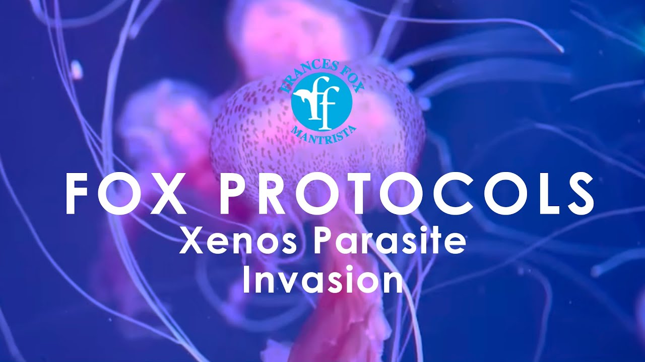 XENOS PARASITES- SPIRITS SENSORY THERAPY FOR PARASITES THAT INVADE THE HEART 10 hours