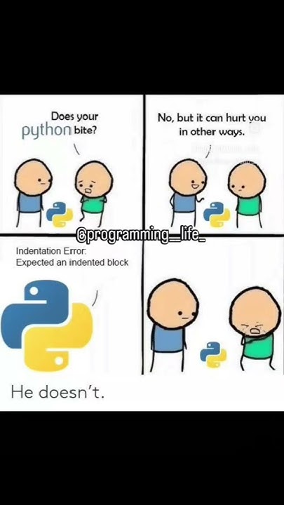 python meme #python #memes #meme #funny #programming #coding # ...
