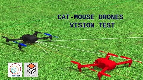 Drone Pursuit. Vision test